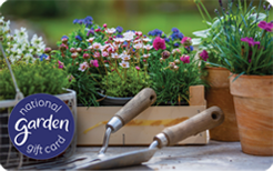 Garden Flowers